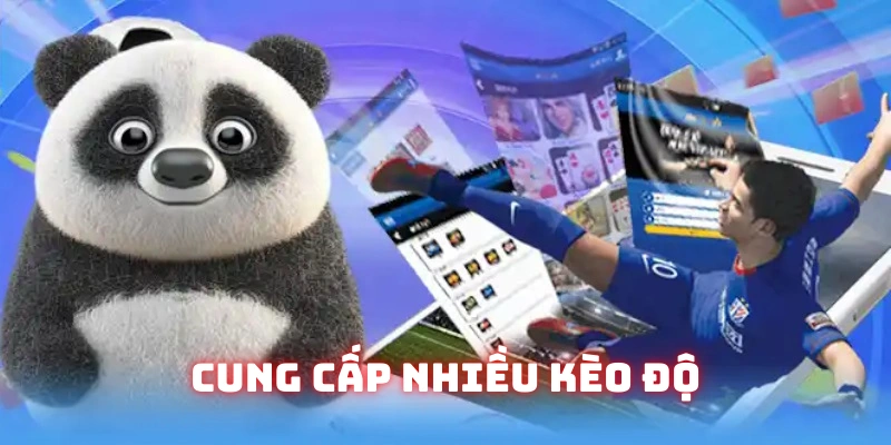 Nền tảng cung cấp vô vàn lựa chọn độ kèo
